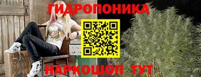 ECSTASY Моздок